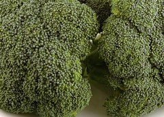 200 Calories of Broccoli